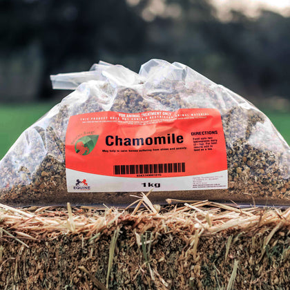 chamomile for horses