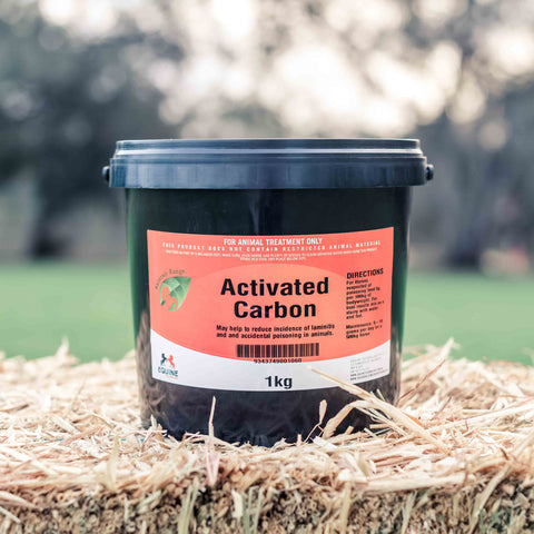 Activated Carbon 1kg