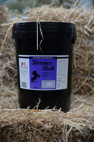 Bounce Bak 20kg