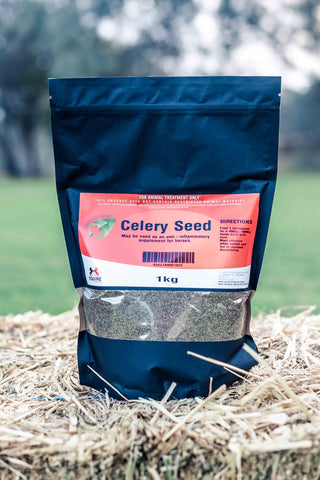 Celery Seeds 1kg