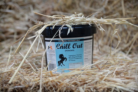 Chill Out Powder 1kg
