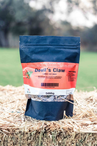 Devils Claw (whole root) 500g ***SPECIAL***