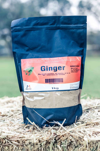 Ginger 1kg