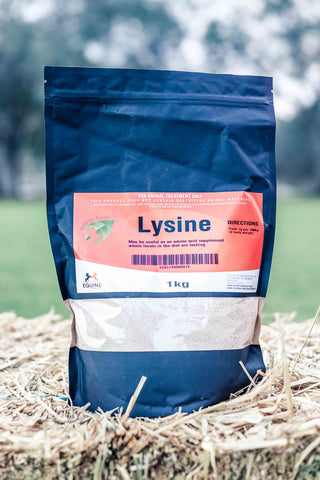Lysine 1kg