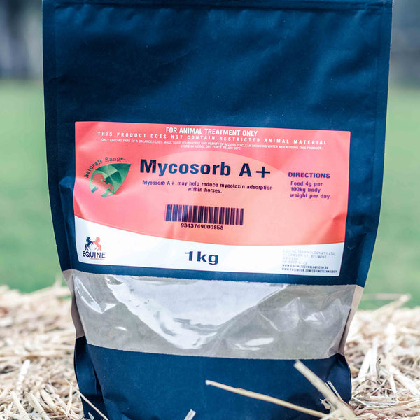 Mycosorb A+ 1kg Alltech – Equine Technology