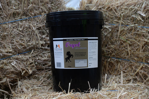 Oryol Plus Creatine 15kg